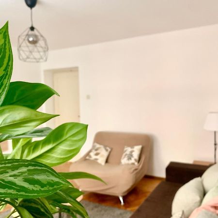 Star Apartment 2 بلغراد المظهر الخارجي الصورة