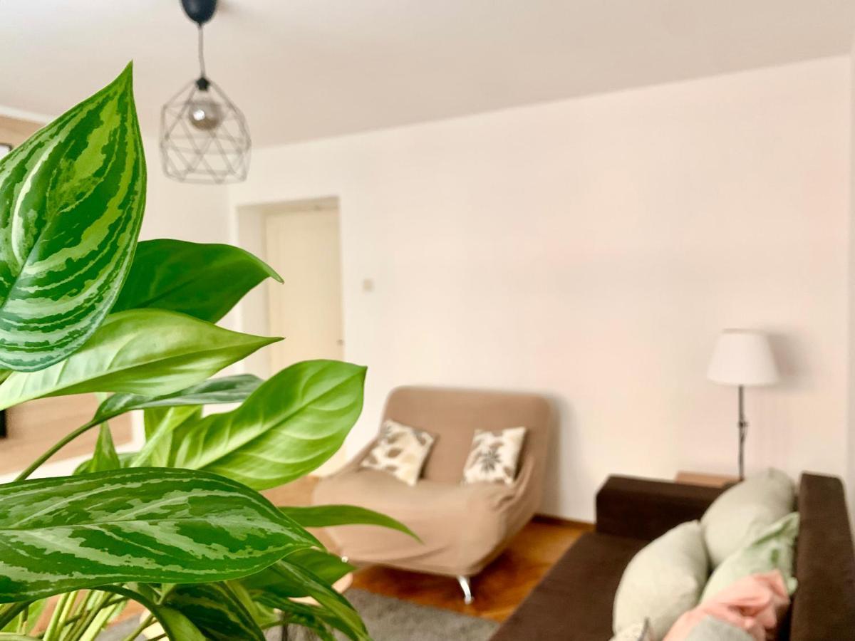Star Apartment 2 بلغراد المظهر الخارجي الصورة
